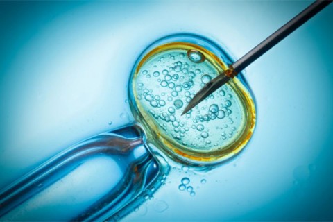 http://wuxi.qqkaixin.com/post/199.html|无锡供卵助孕